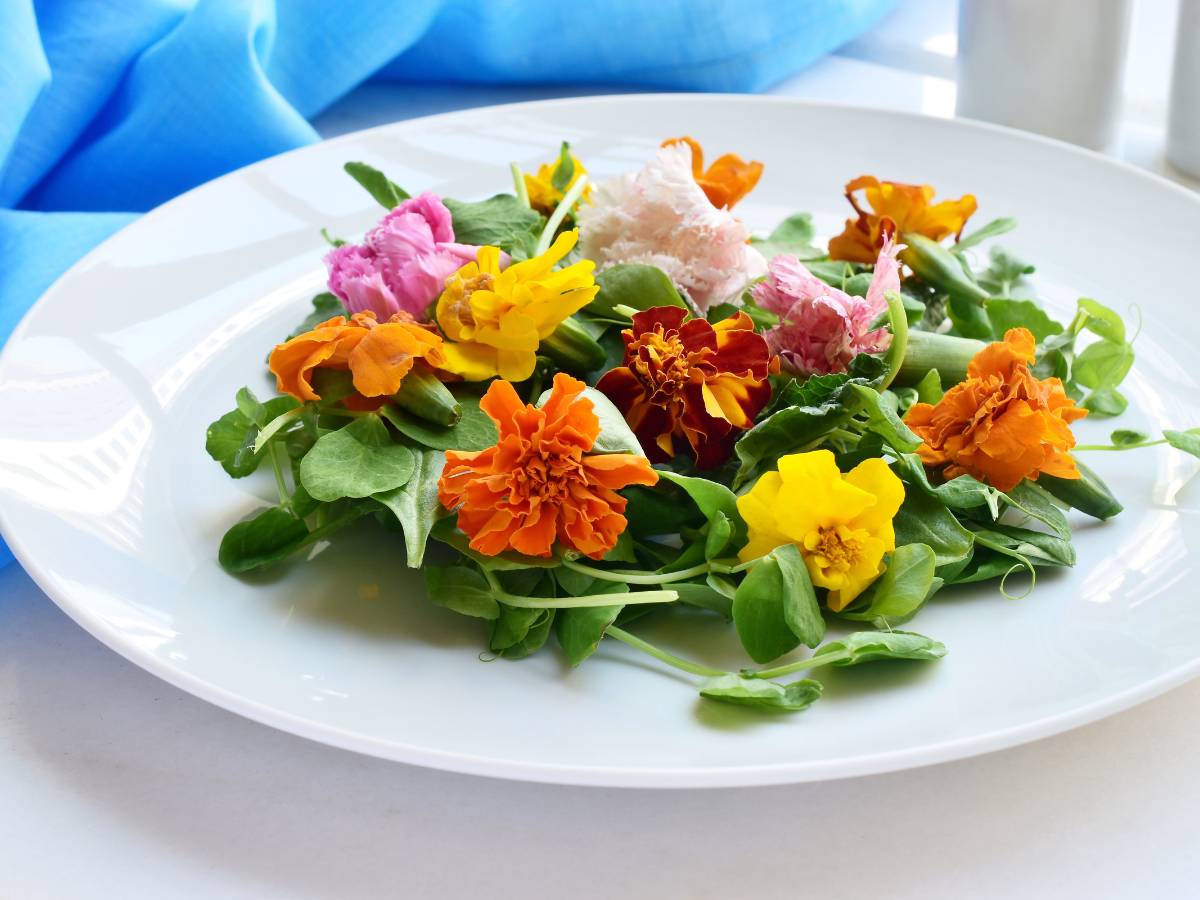 Talerz z kwiatami jadalnymi. Obrazek w artykule Warzywo z jadalnym kwiatem. Co warto wiedzieć o warzywach z jadalnym kwiatem?