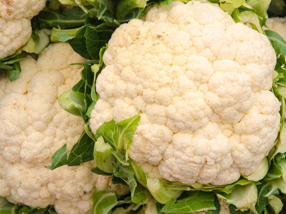 Główki kalafiora.. Obrazek w artykule Warzywo podobne do kalafiora. Co to jest i jakie są właściwości warzywa podobnego do kalafiora?