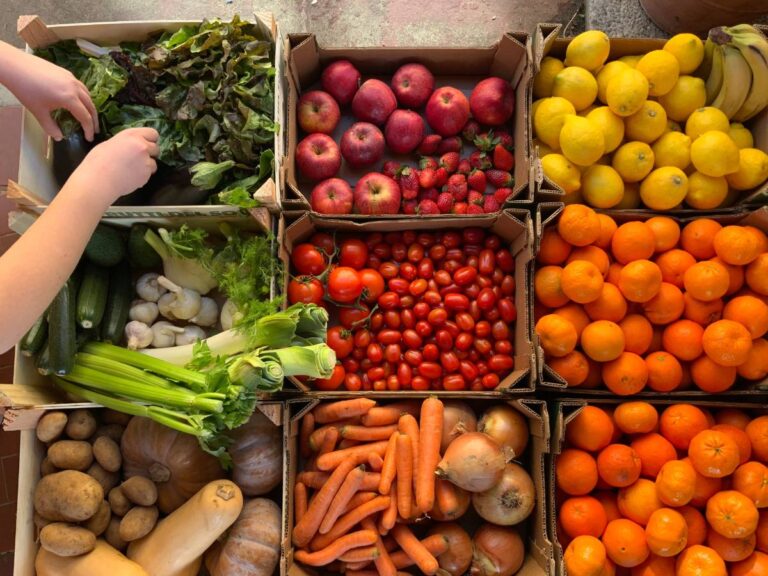 Warzywa w skrzynkach. Obrazek w artykule Jak przechowywać warzywa w lodówce? Porady i wskazówki jak przechowywać warzywa w lodówce