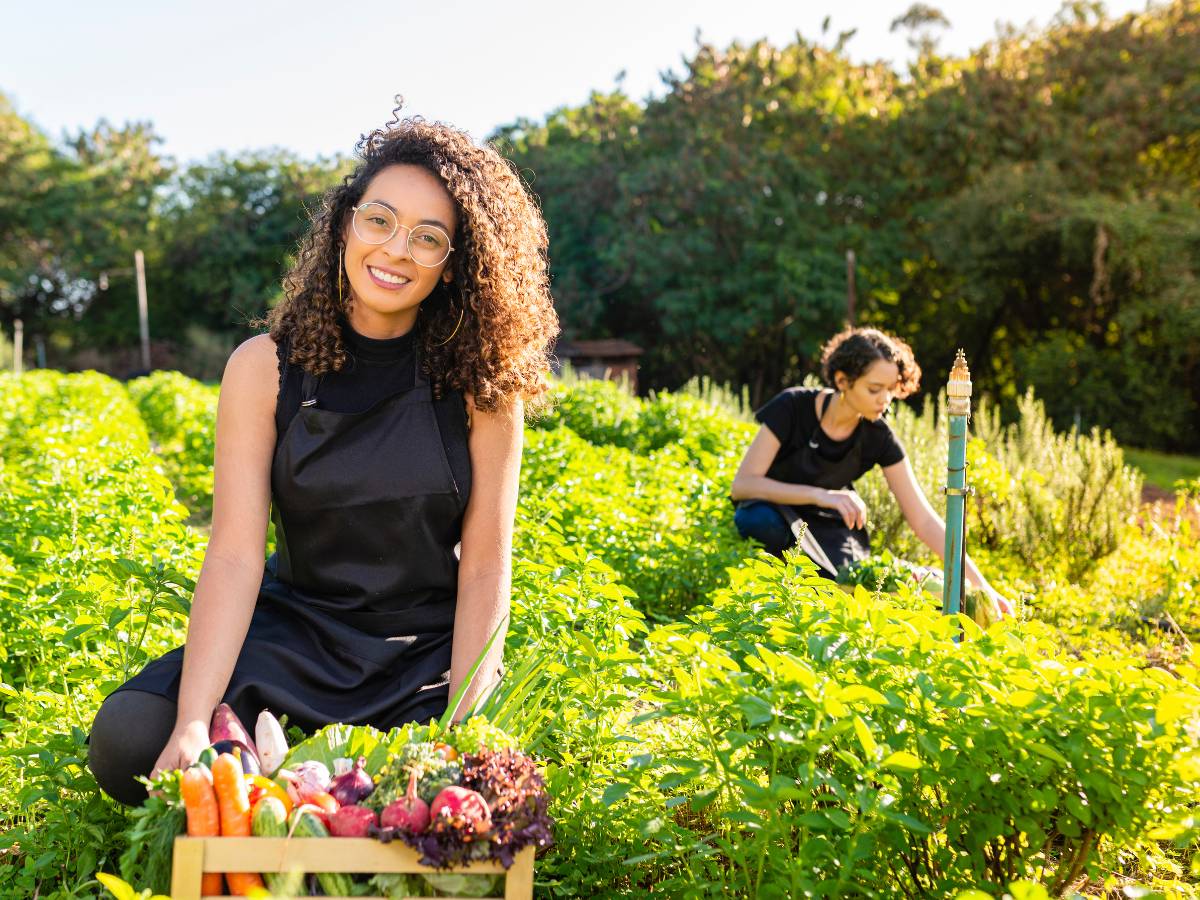 Uprawy warzyw. Obrazek w artykule Jakich warzyw nie sadzić obok siebie? Oto lista niebezpiecznych kombinacji jakich warzyw nie sadzić obok siebie