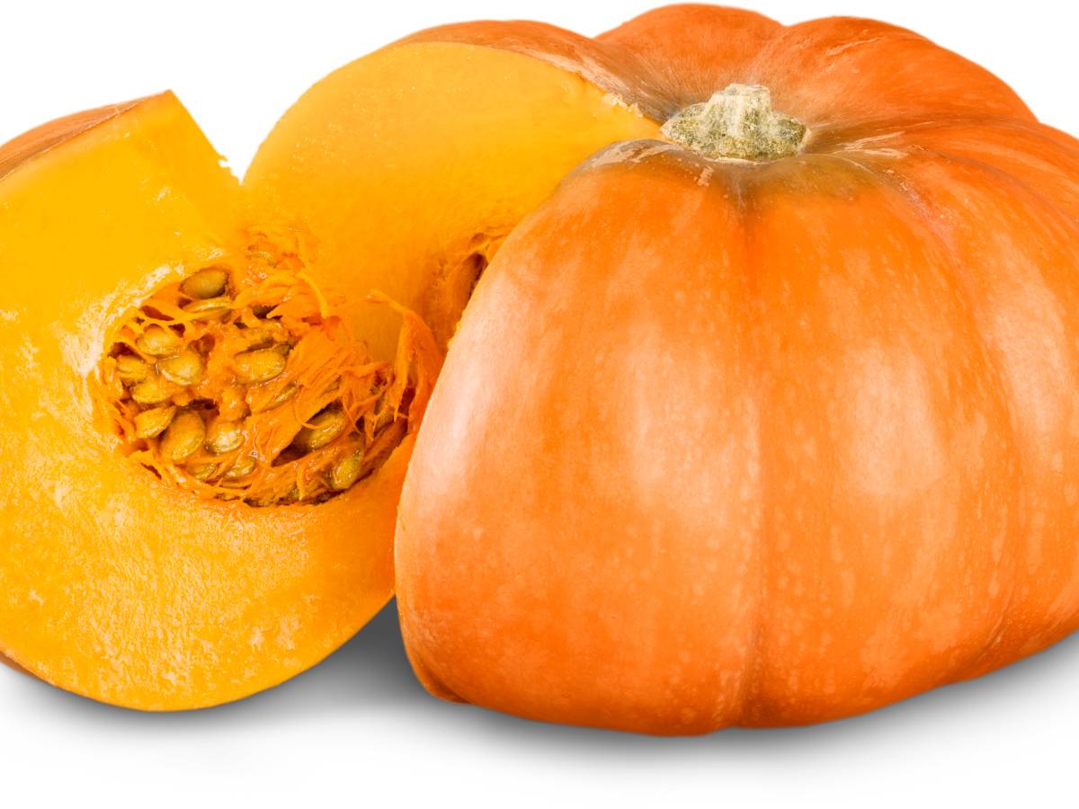 Dynia. Obrazek w artykule Warzywa dyniowate. Wszystko, co musisz wiedzieć o dyniach, kabaczku, cukiniach i innych warzywach dyniowatych