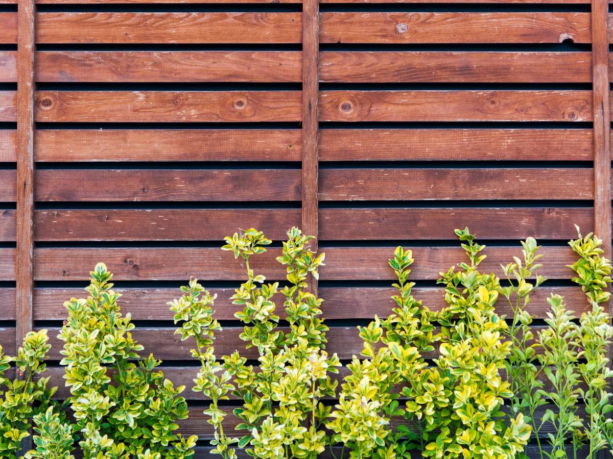 Płot w ogrodzie. Obrazek w artykule Czym ogrodzić ogródek warzywny? Najlepsze sposoby i materiały na ogrodzenie ogródka warzywnego