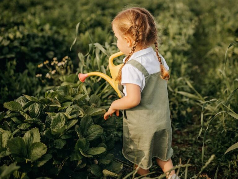 Dziecko podlewa. Obrazek w artykule Kiedy podlewać warzywa. Poradnik dla ogrodników kiedy podlewać warzywa