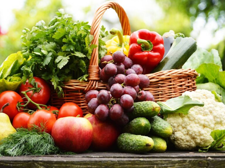 Warzywa lubiące cień. Obrazek w artykule Jakie warzywa rosną w cieniu? Oto lista najlepszych warzyw rosnących w cieniu