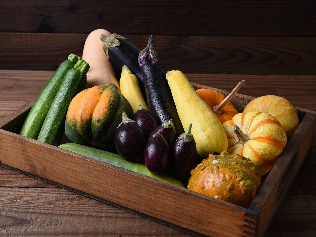 Skrzynka warzyw. Obrazek w artykule Warzywa psiankowate. Czym są warzywa psiankowate i jak je uprawiać?
